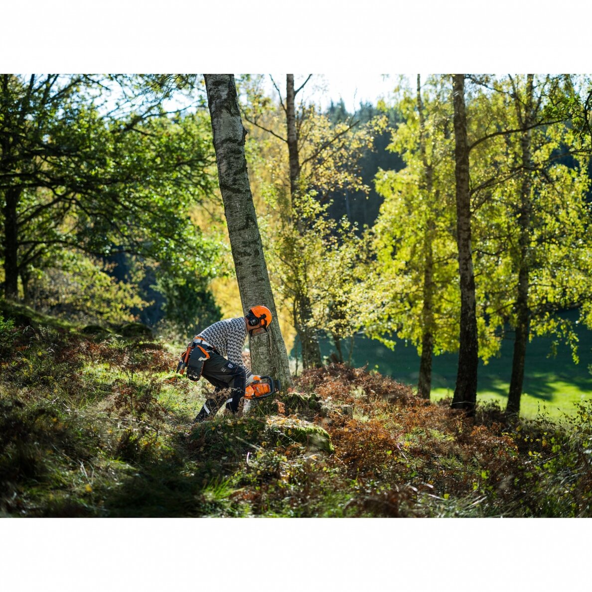 Husqvarna 450S 2 Husqvarna 450S 2
