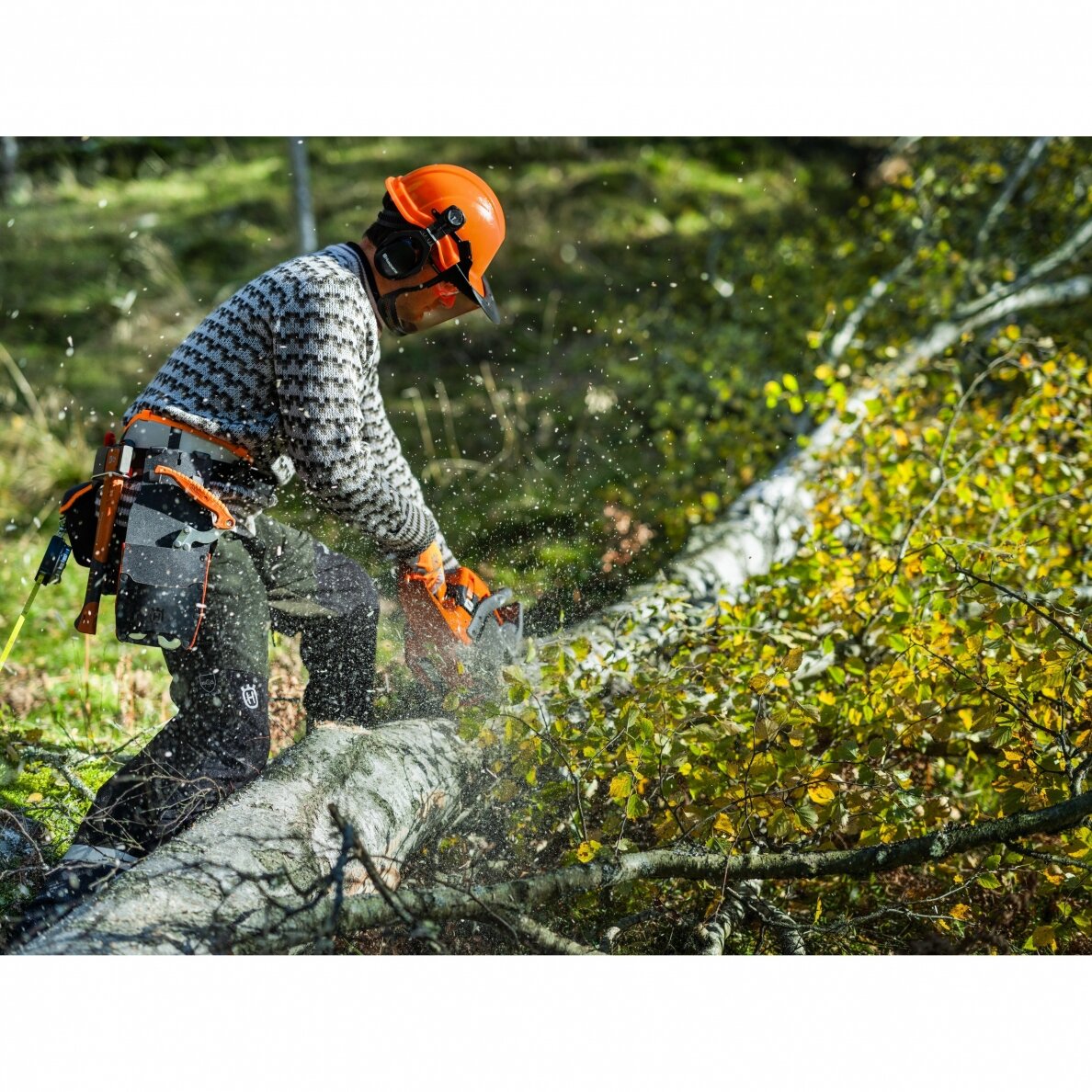 Husqvarna 450S 3 Husqvarna 450S 3