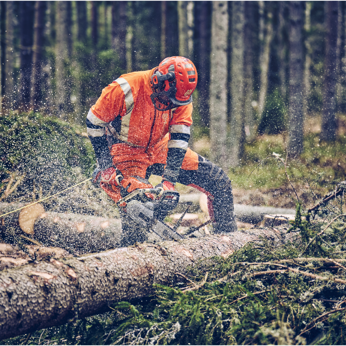 Husqvarna 560 XP® Mark II 1 Husqvarna 560 XP® Mark II 1