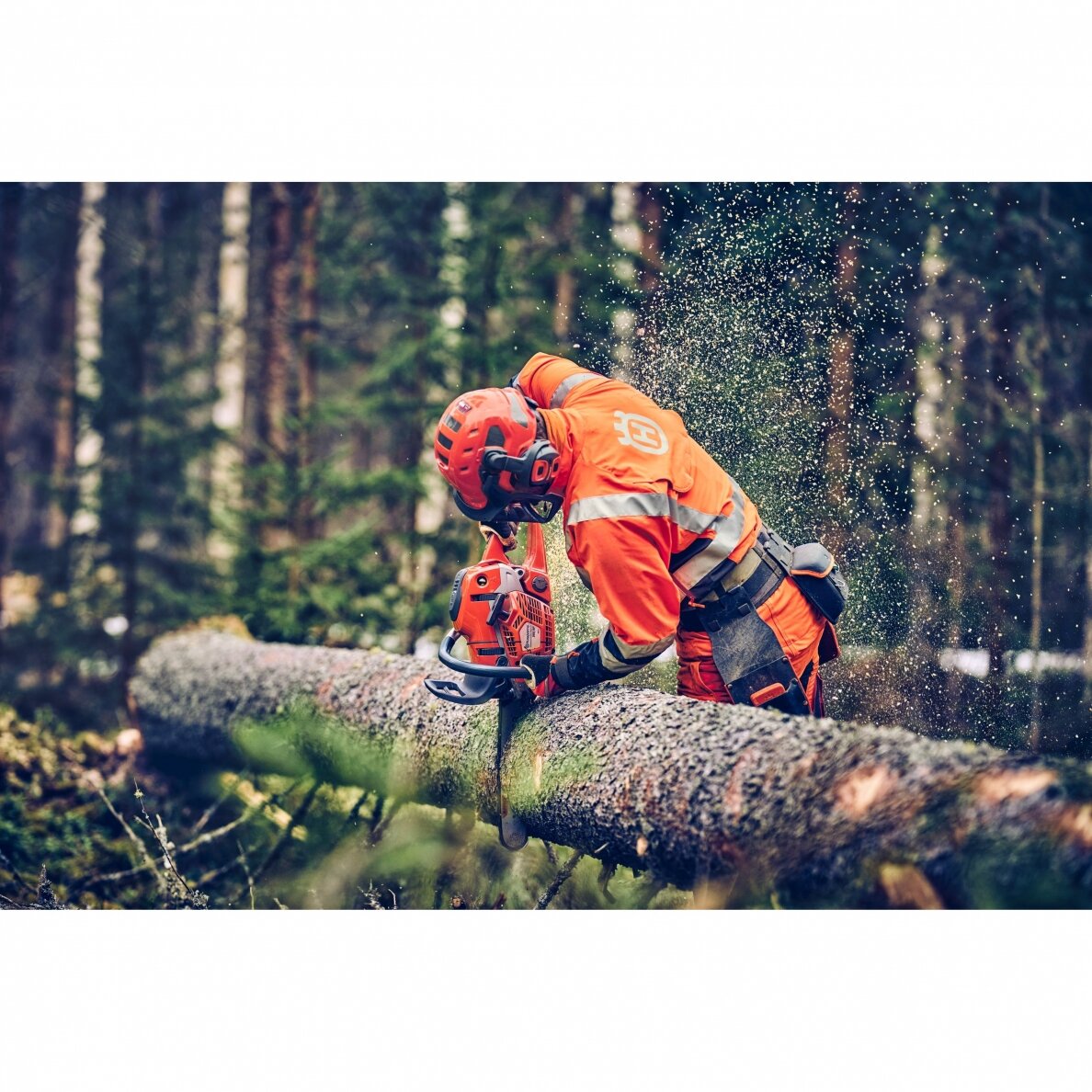 HUSQVARNA 560 XP® G Mark II 1