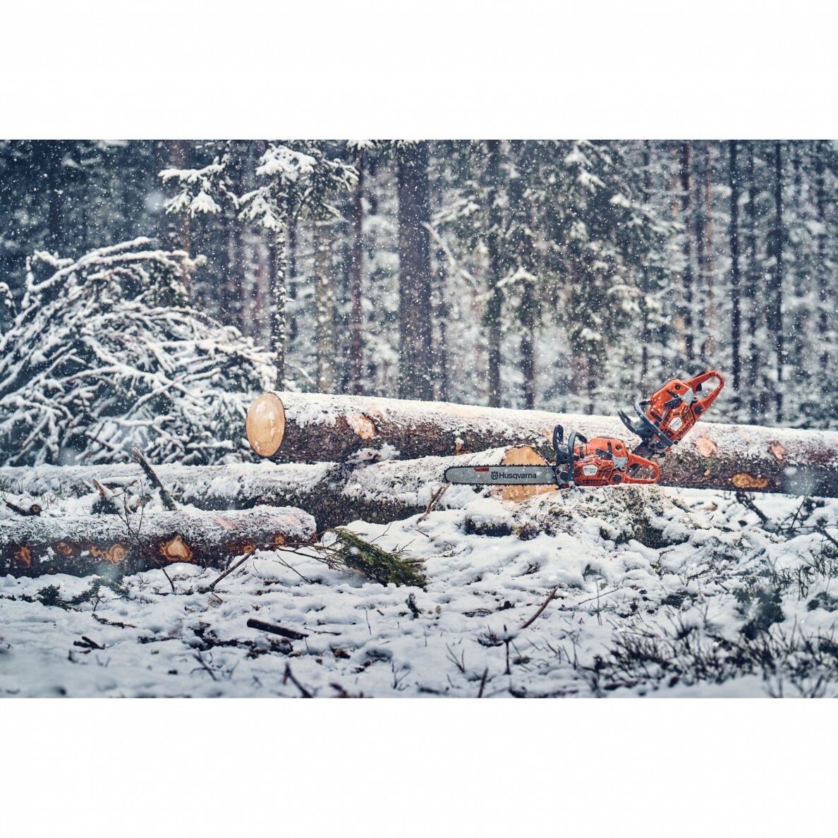 HUSQVARNA 560 XP® G Mark II 4