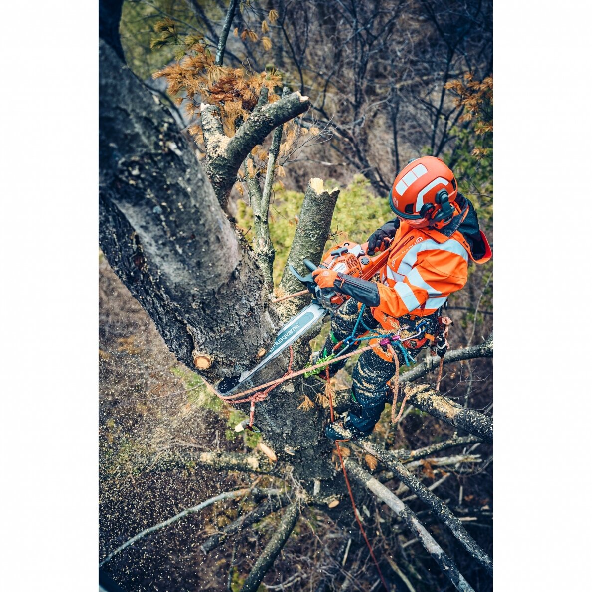 HUSQVARNA 560 XP® G Mark II 5 HUSQVARNA 560 XP® G Mark II 5