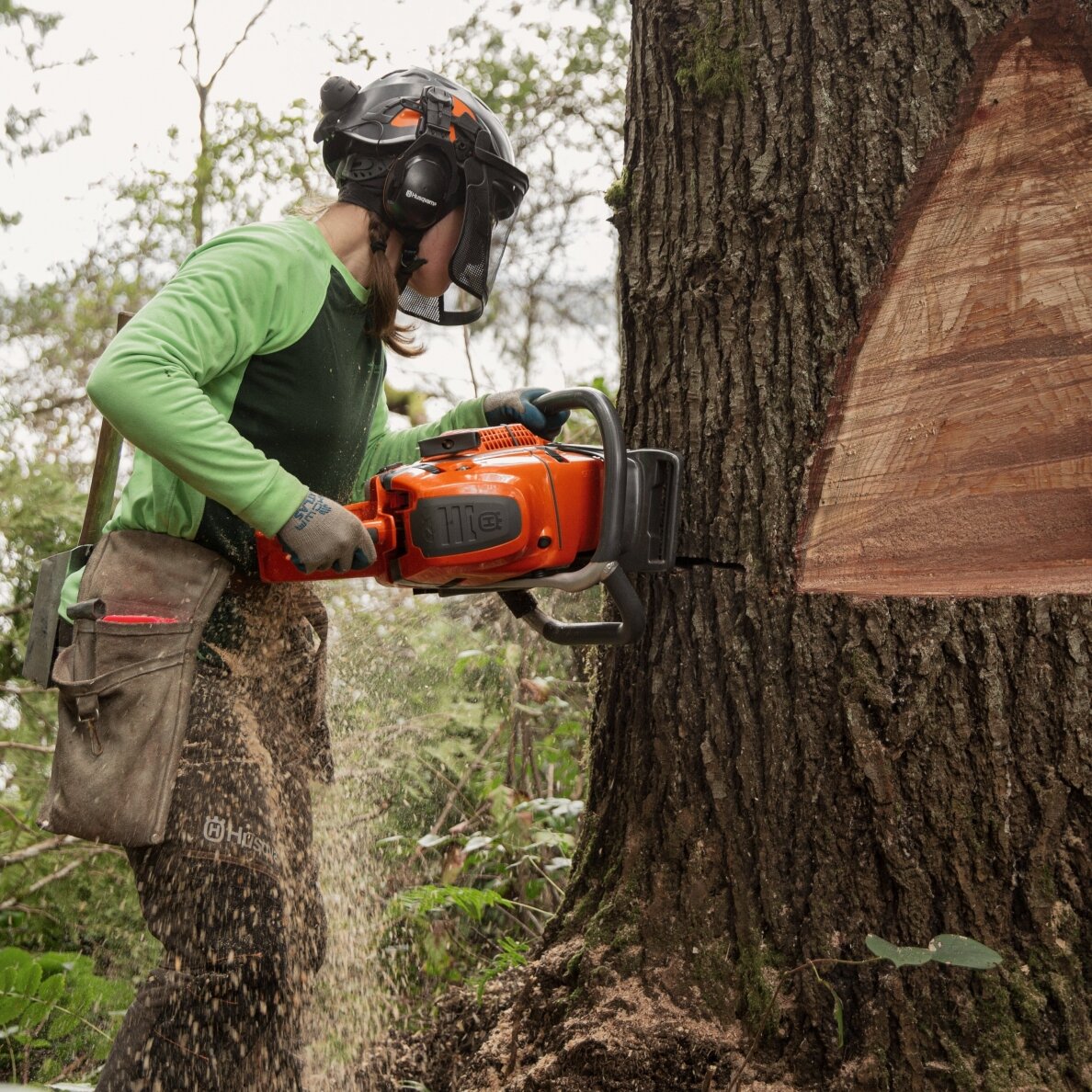 HUSQVARNA 592 XP® G 3